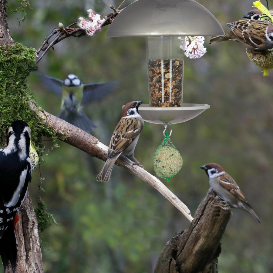 Relaxdays Vogelhauschen Auf Einer Stange New