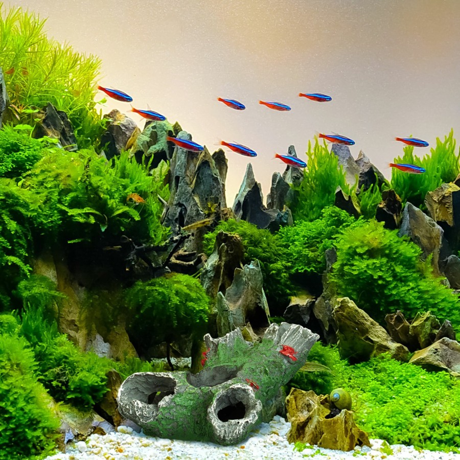 Relaxdays Baumstamm-Aquarium-Ornament Hot