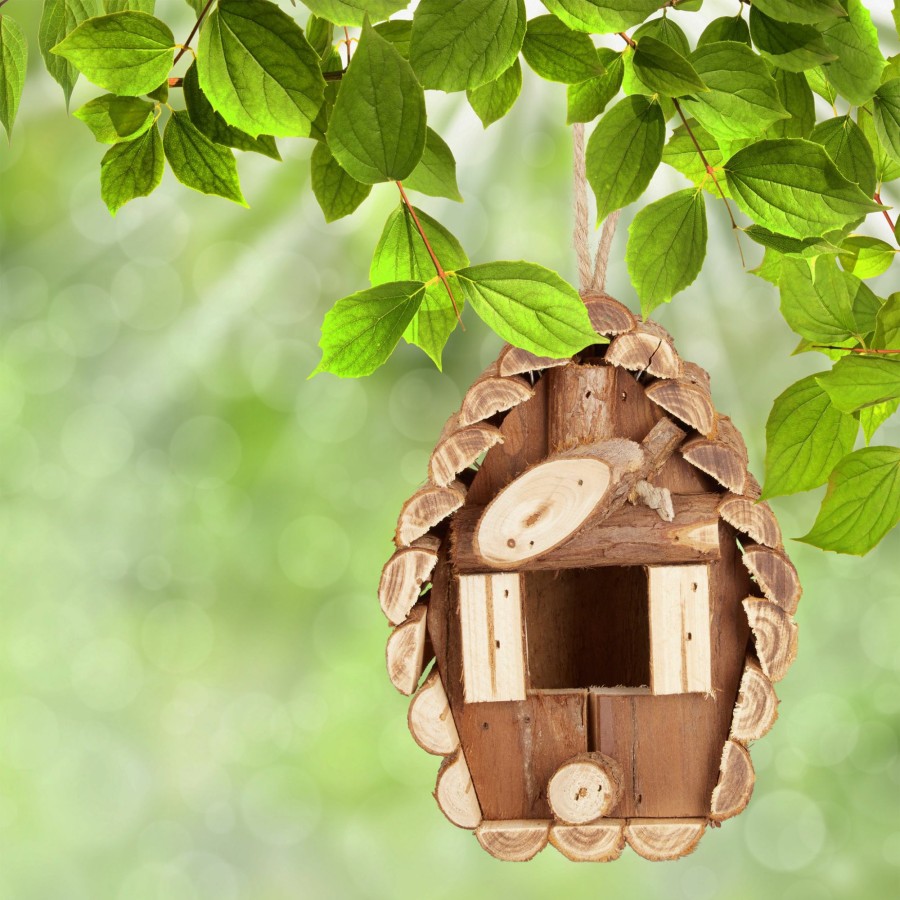 Relaxdays Vogelhaus Aus Holz Online