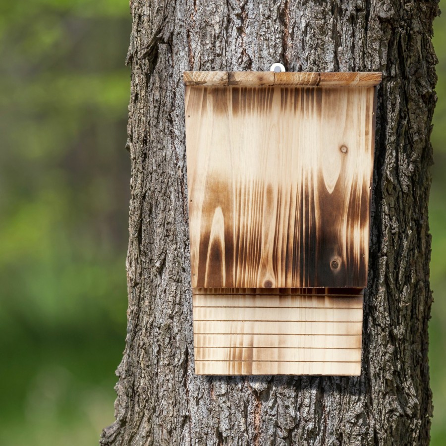 Relaxdays Fledermauskasten Aus Geflammtem Kiefernholz Hot