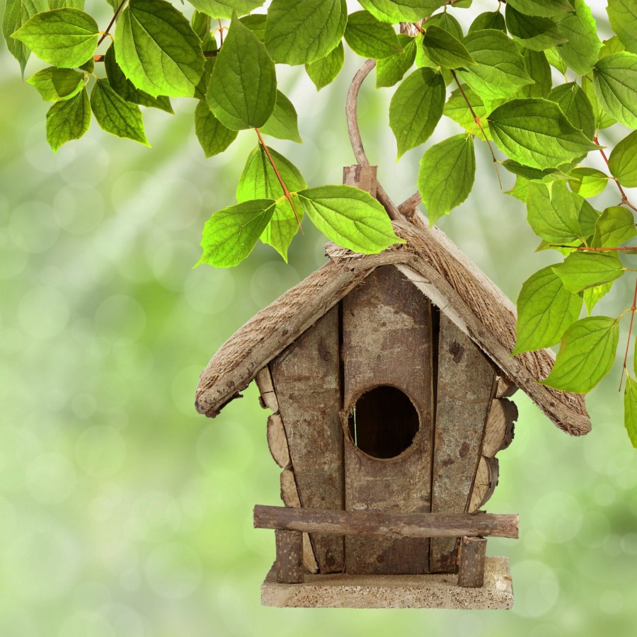 Relaxdays Dekor-Vogelhaus In Verschiedenen Ausfuhrungen Best