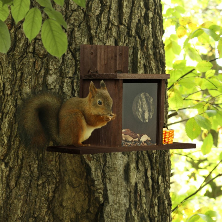 Relaxdays Brauner Eichhornchen-Futterspender Mit 2 Eingangen Best