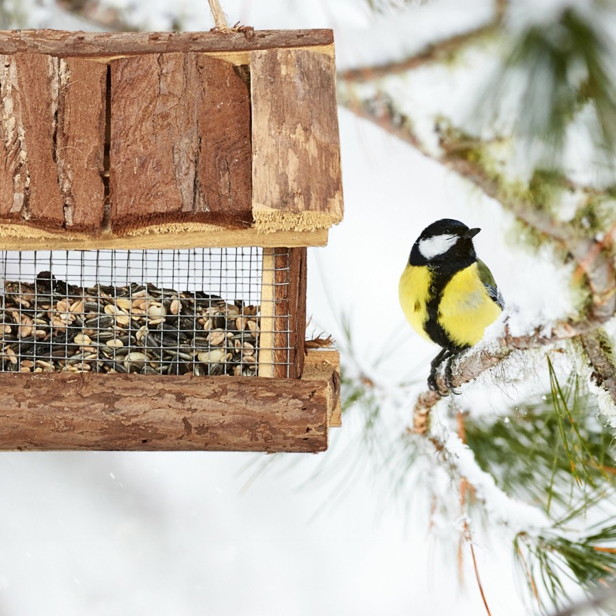 Relaxdays Vogelfutterhaus Mit Rinde Best