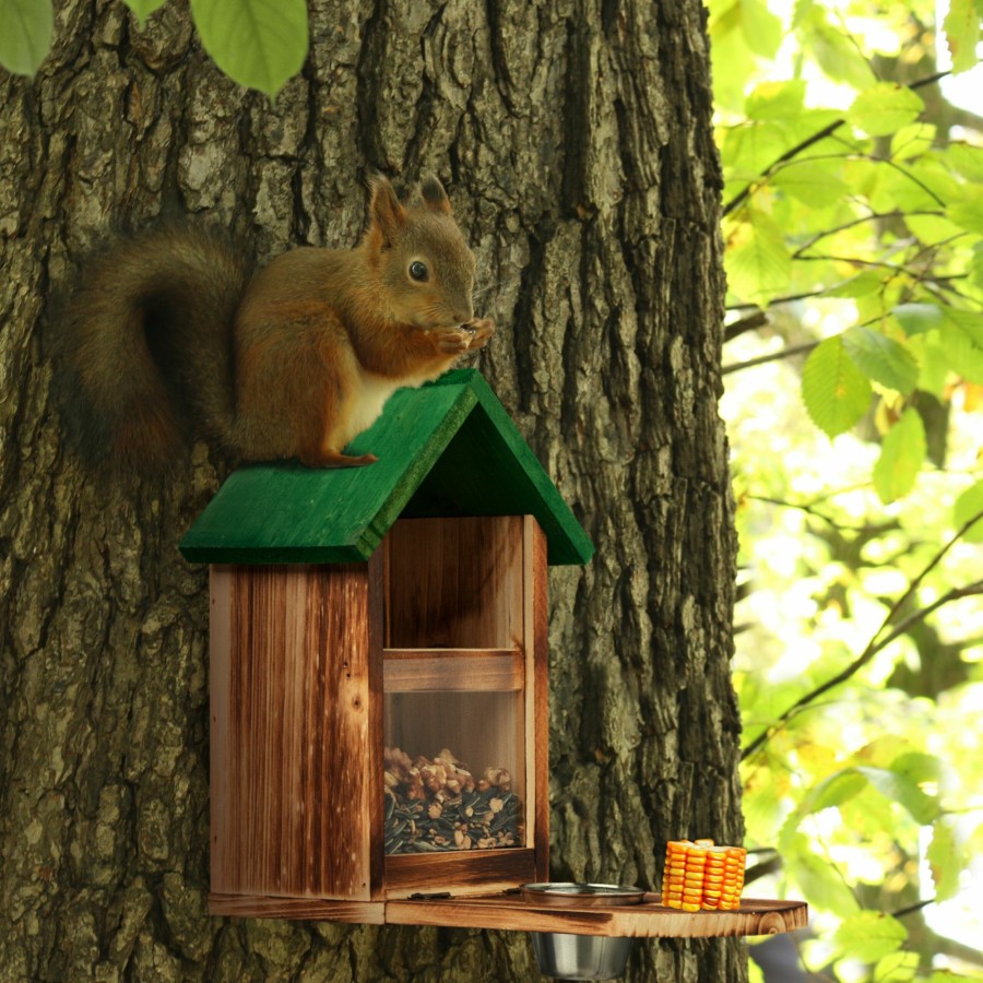 Relaxdays Eichhornchen-Futterstation Mit Wassernapf New