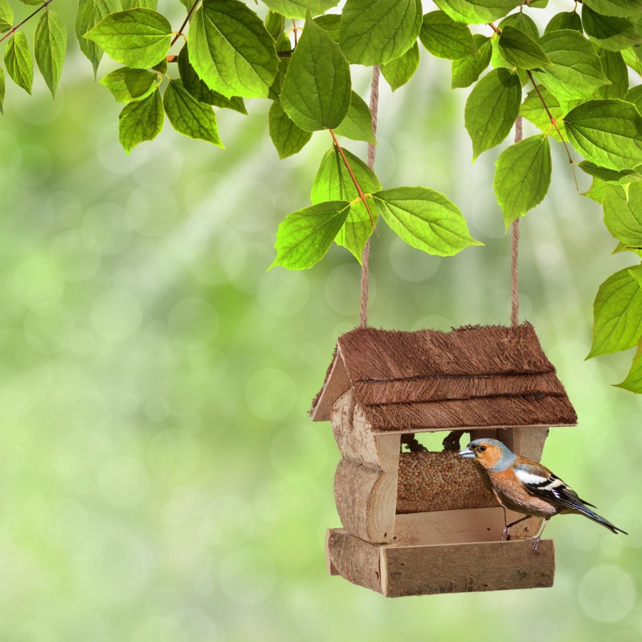 Relaxdays Vogelhauschen Aus Holz New