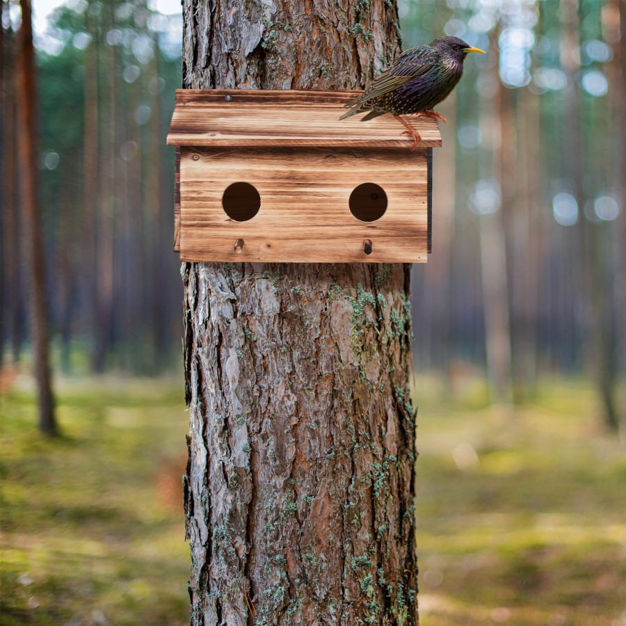 Relaxdays Doppelter Nistkasten In Geflammter Holzoptik Clearance