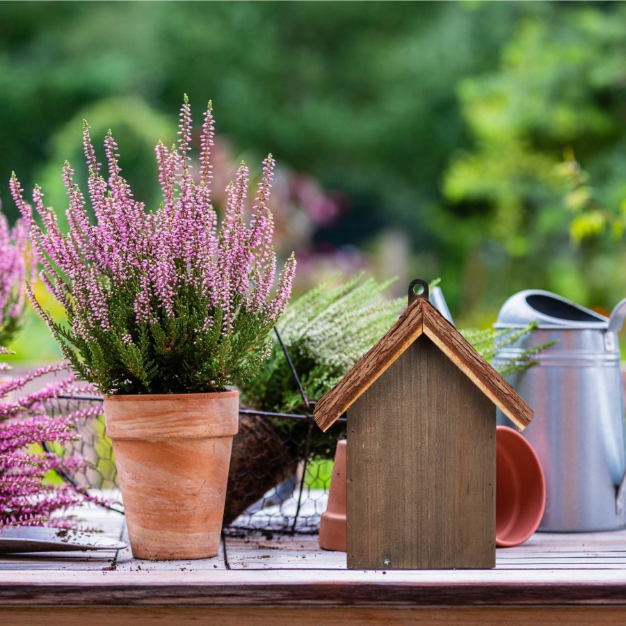 Relaxdays Braunes Marienkaferhaus Aus Holz Hot