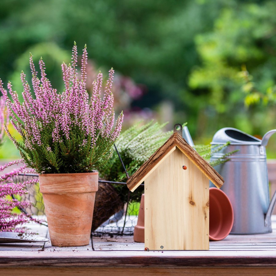 Relaxdays Marienkaferhaus Aus Holz Clearance