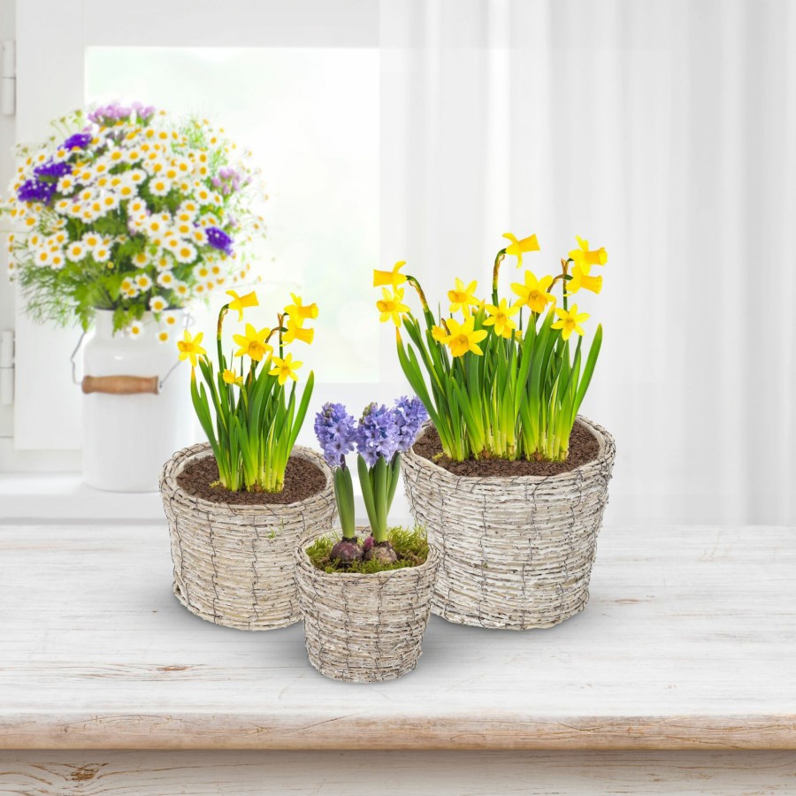 Relaxdays Set Mit 3 Runden Blumentopfen, Verschiedene Grosen Clearance