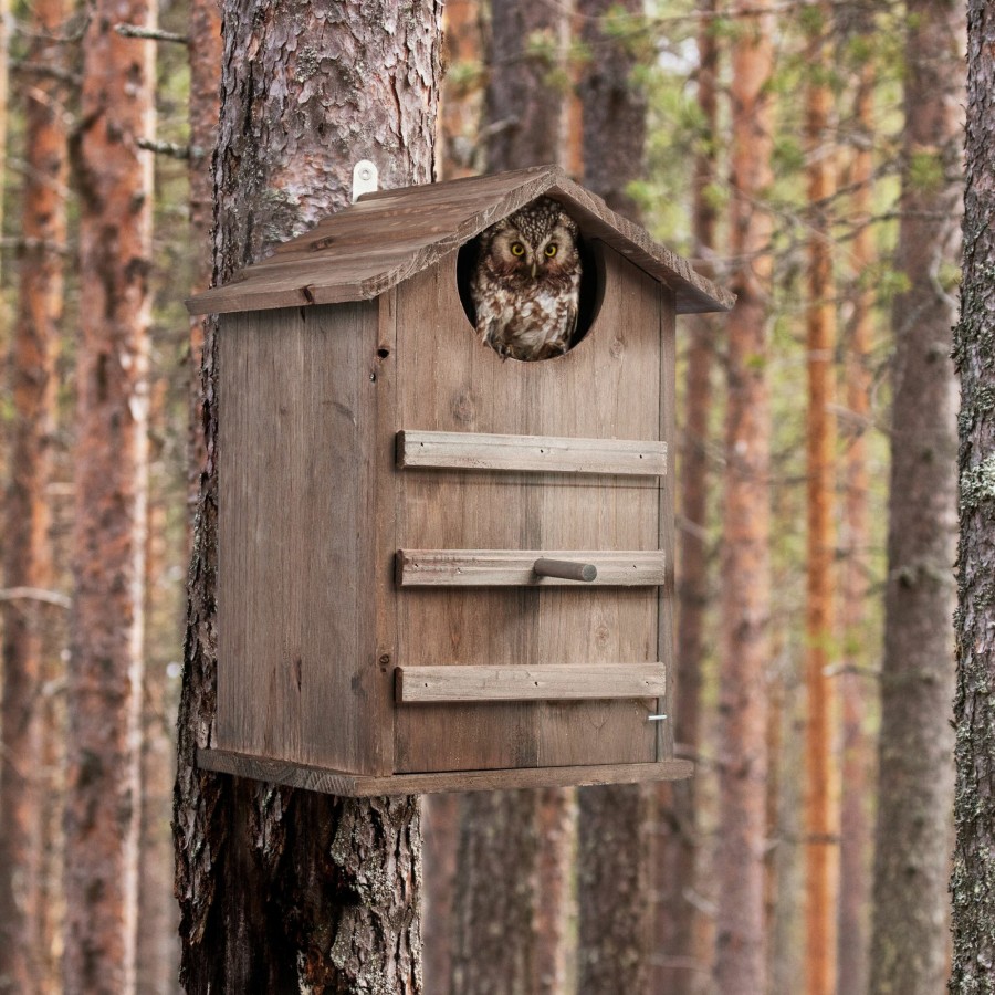 Relaxdays Eulen-Nistkasten Aus Holz New